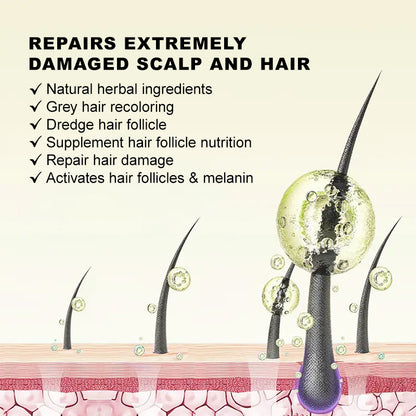 60ml * 3 Rosemary essential oil hair care soft dry hair moisturizing with massager