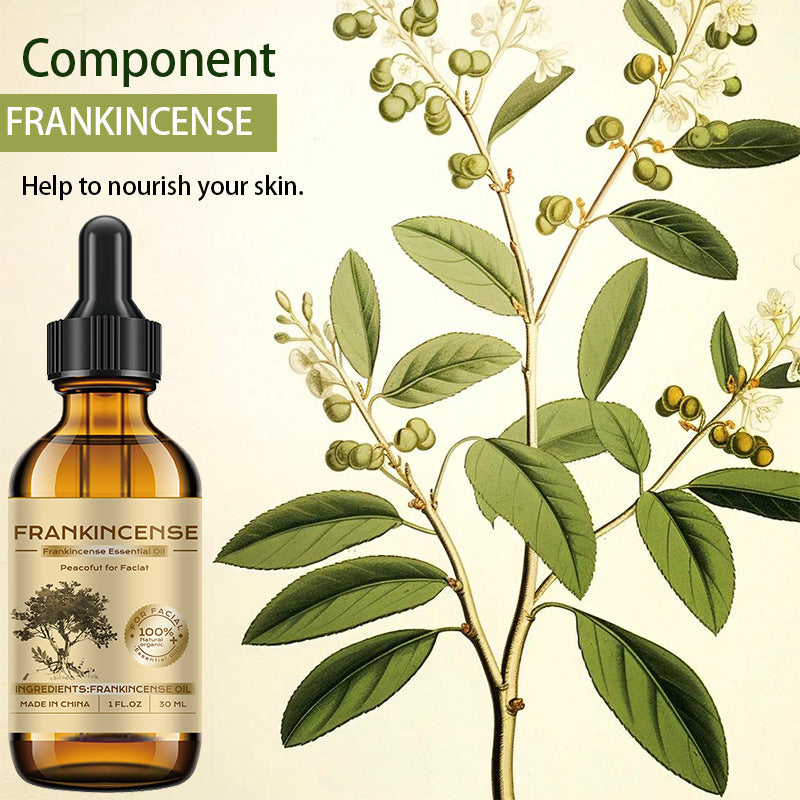 30ml *2 Aceite Esencial de Mastic con Rosa Hidratante y para Masaje de la Piel