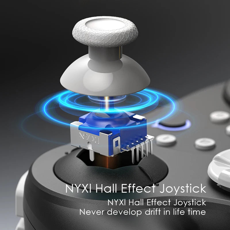 NYXI Warrior Bluetooth Game Controller Black Wireless Gamepad for Gamecube/WII/Switch2/Switch OLED/Switch Lite/PC