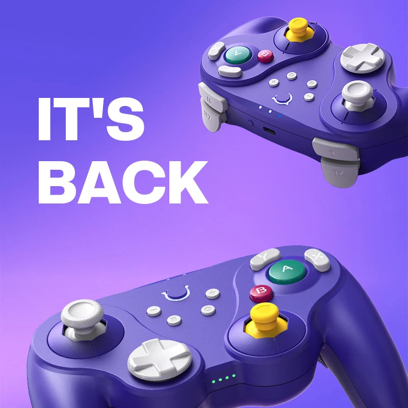 NYXI Warrior Bluetooth Game Controller for Gamecube/WII/Switch2 Wireless Gamepad