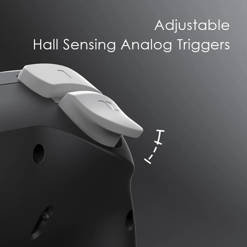 NYXI Warrior Bluetooth Game Controller Black Wireless Gamepad for Gamecube/WII/Switch2/Switch OLED/Switch Lite/PC